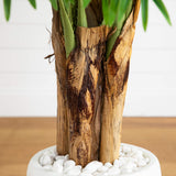 5.5' Triple Areca Palm Artificial Tree in White Planter