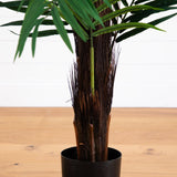 6' Areca Palm Tree