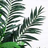 6' Areca Palm Tree