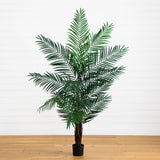 6' Areca Palm Tree