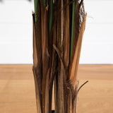 6' Areca Palm Tree