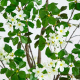 6' Artificial Dogwood Tree