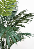 6' Artificial Paradise Palm Tree