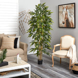 6' Bamboo Tree