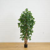 6' Black Olive Silk Tree