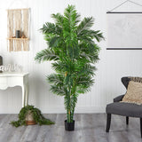 6' Curvy Parlor Palm Silk Tree