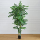6' Curvy Parlor Palm Silk Tree
