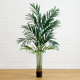 6' Kentia Palm Tree