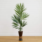 6' Kentia Tree w/Bamboo Planter