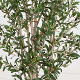 6' Olive Tree in Stone Planter