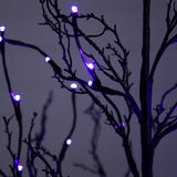 6' Pre-Lit Halloween Black Twig Artificial Tree with 300 Orange & Purple LED Lights