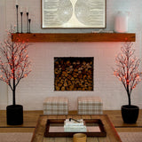 6' Pre-Lit Halloween Black Twig Artificial Tree with 300 Orange & Purple LED Lights