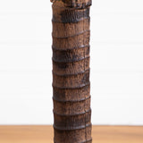 6' Robellini Palm Tree