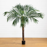 6' Robellini Palm Tree