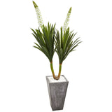 6' Yucca Artificial Plant in Cement Planter