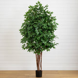 6.5' Deluxe Ficus Tree