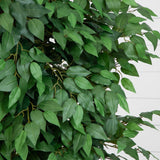 6.5' Deluxe Ficus Tree