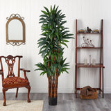 6.5' Dracaena Tree
