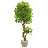 6.5' Jingo Artificial Tree in Sand Colored Planter (Indoor/Outdoor)