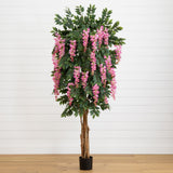 6.5' Wisteria Silk Tree