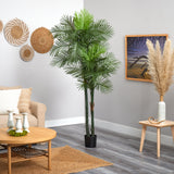 7' Double Robellini Palm Tree UV Resistant (Indoor/Outdoor)