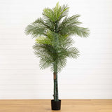 7' Double Robellini Palm Tree UV Resistant (Indoor/Outdoor)