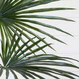 7' Fan Palm Tree UV Resistant (Indoor/Outdoor)
