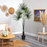 7' Fan Palm Tree UV Resistant (Indoor/Outdoor)