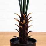 7' Fan Palm Tree UV Resistant (Indoor/Outdoor)