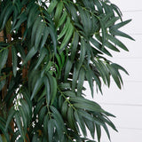 7.5' Phoenix Palm Tree