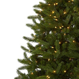 7.5' Rembrandt Christmas Tree w/Clear Lights