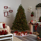 7.5' Royal Grand Christmas Tree w/Clear Lights