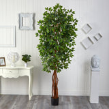 7.5' Super Deluxe Ficus Tree