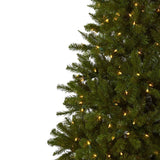 7.5' Windermere Christmas Tree w/Clear Lights