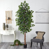 8' Ficus Tree w/1512 Lvs