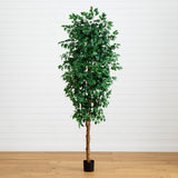 8' Ficus Tree w/1512 Lvs