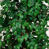 8' Ficus Tree w/1512 Lvs