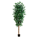 8' Ficus Tree w/1512 Lvs